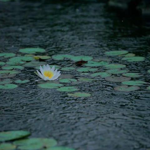 在雨天