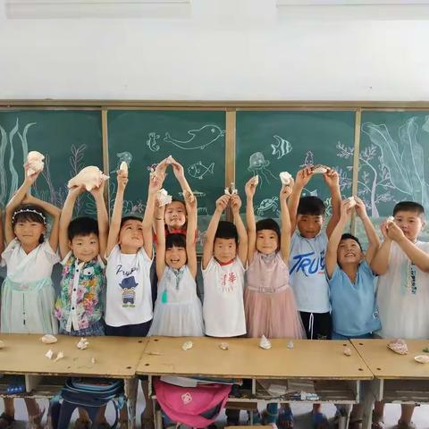 赏贝壳，让快乐加“贝”！