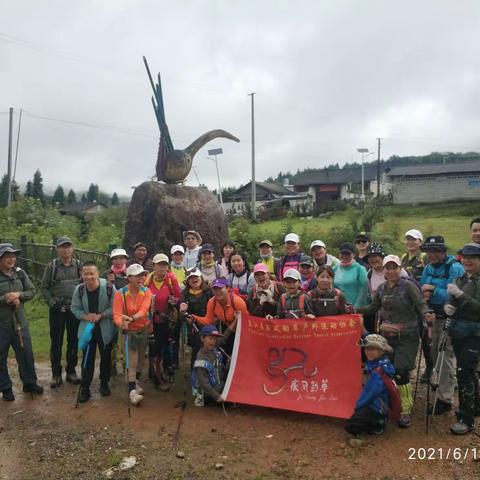 疾风劲草探秘苏典山窝啰坝