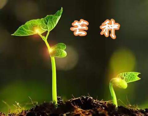 历下区图书馆吉祥苑社区图书分馆线上分享“乍暖又寒芒种候，启晴还雨熟梅天。”今日芒种