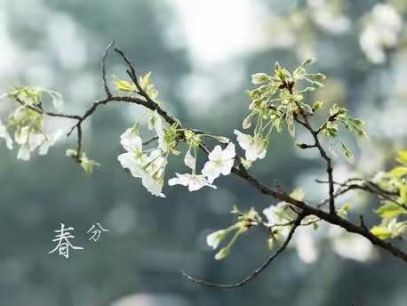 历下区图书馆吉祥苑图书分馆线上分享“浅黛春山处处纱，烟雨风光春分时。”今日春分