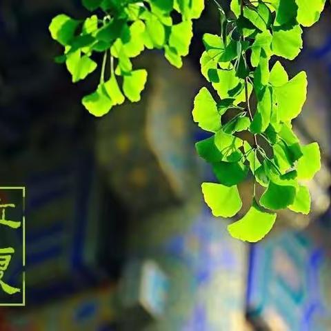 历下区图书馆吉祥苑社区图书分馆线上分享“迎夏之首，末春之垂。”今日立夏