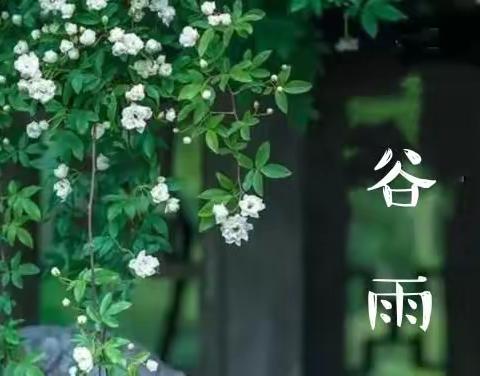 历下区图书馆吉祥苑图书分馆线上分享“节候初临谷雨期，满天风日助芳菲。”今日谷雨