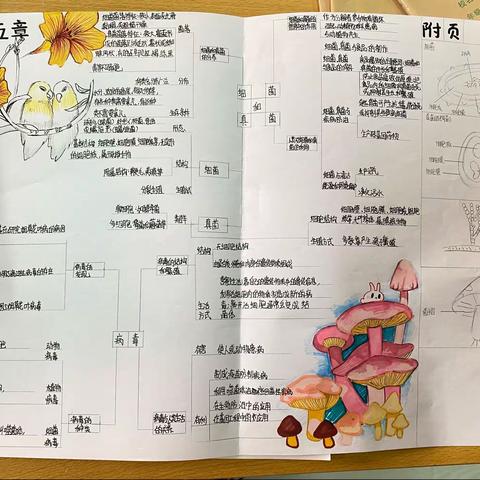 八四班细菌真菌病毒思维导图优秀作品