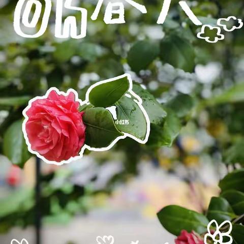 与春天有个约会