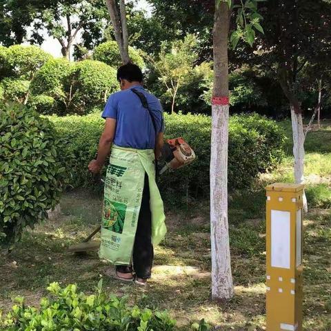 午朝门社区07网格创文巩卫进行时