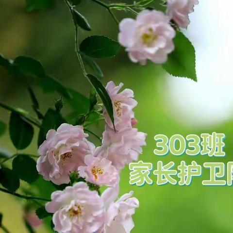 家长护卫队，打造幸福桂园——303班护卫队掠影