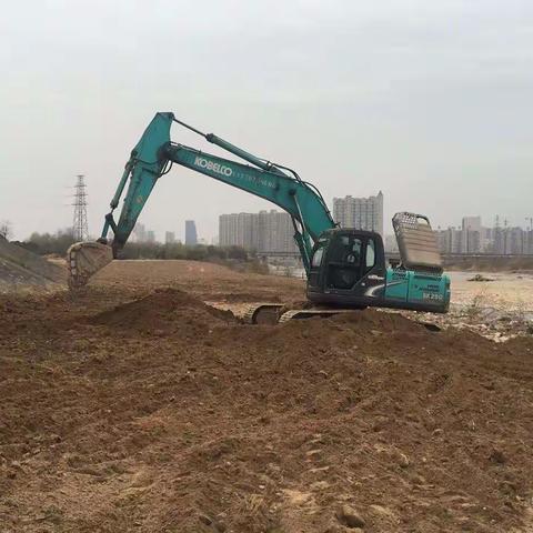 金台区本周工作绿化情况