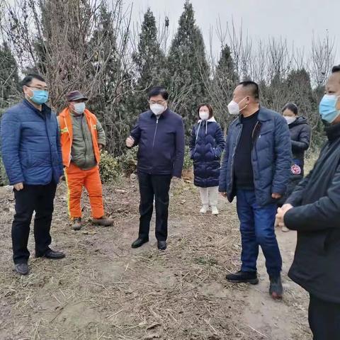 金台区政府区长、区总林长王润军赴蟠龙镇开展巡林工作