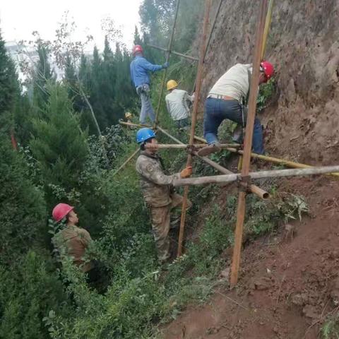 金台区北坡大台阶两侧陡崖绿化情况