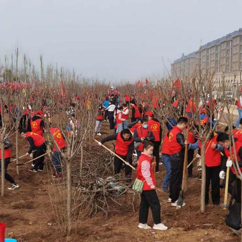 植树节，全体公民的义务，你今天履行了吗？