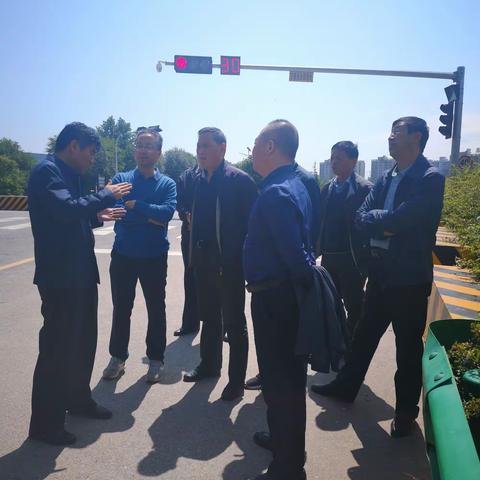 金台区北坡龙腾路陡崖绿化情况