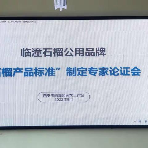 临潼区召开临潼石榴公用品牌石榴产品标准及包装销售规范专家论证会