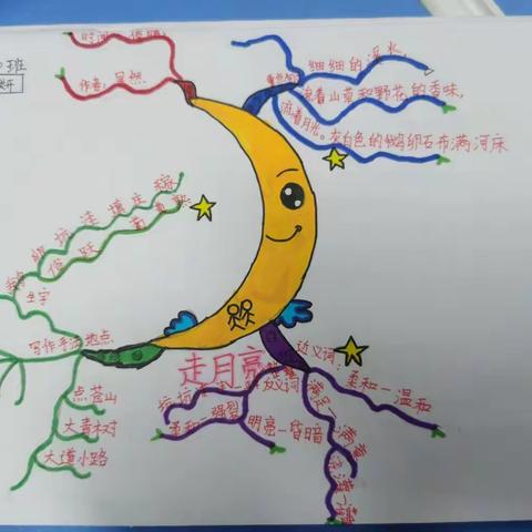 思维导图训练