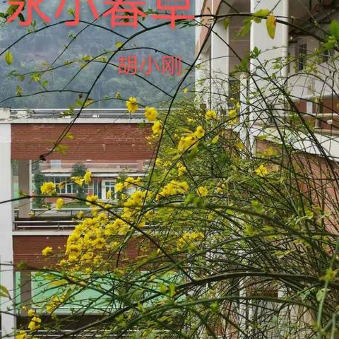 永新小学 “学巾帼、展风采”最美宅拍活动