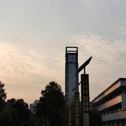 回首2022 我来总结学前教育2201刘雨璐