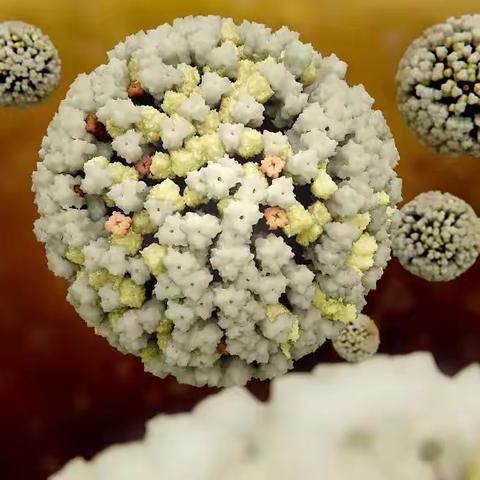 【四幼•卫生保健】“甲流”进入高发期，我们应该如何做？