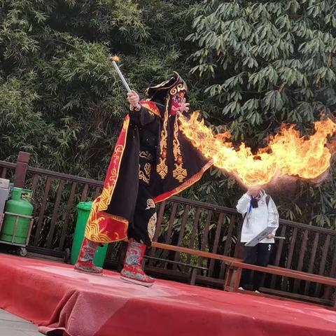 重庆复旦中学高二、8班丨农学促成长，劳动育美德--重庆复旦中学春季劳动主题实践活动