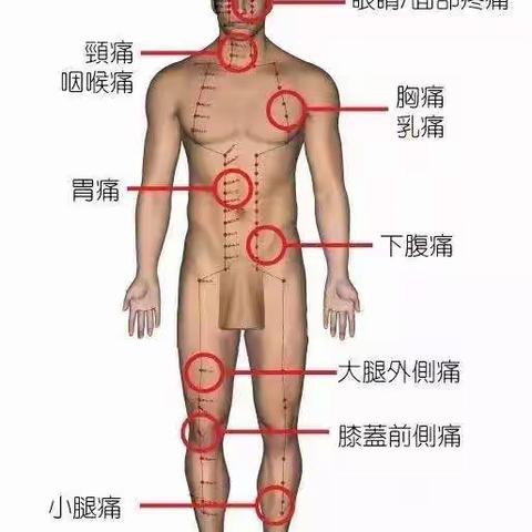 经络的疼痛部位