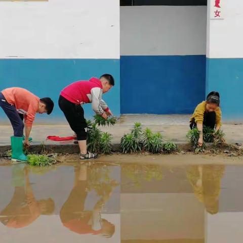 佘家镇车寨小学劳动实践课