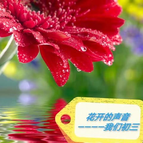 花美在绿丛中   人美在劳动中