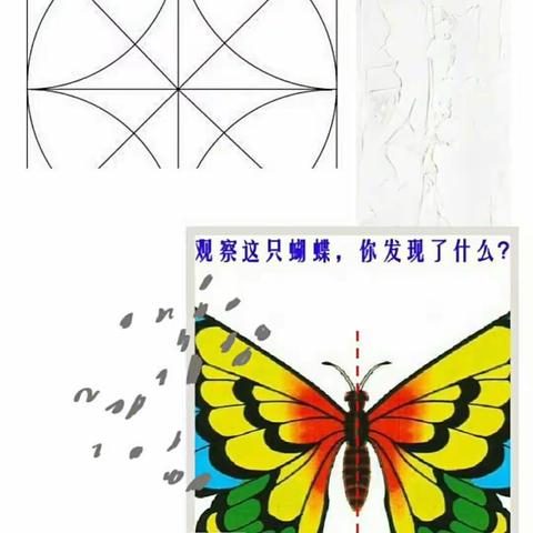 轴对称图形与对称图形