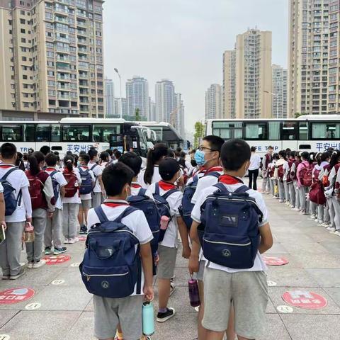 快乐的研学之旅