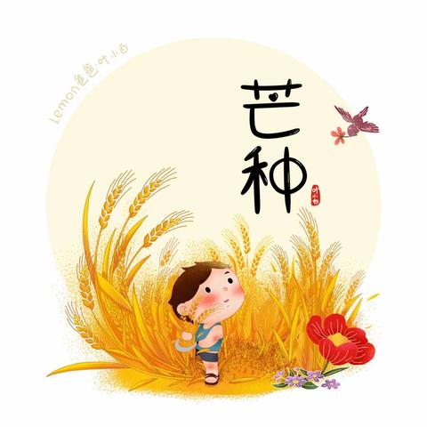 夏日麦穗黄，芒种南风扬——莲湖九幼开展二十四节气之芒种活动