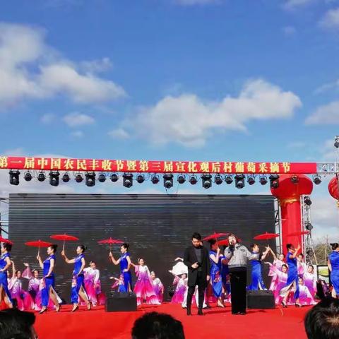 【河北创城 常态建设】第一届中国农业丰收节暨第三届宣化观后村葡萄采摘节