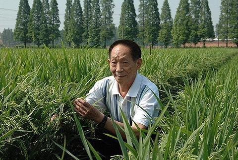 一粒种子改变世界——学习袁隆平的故事