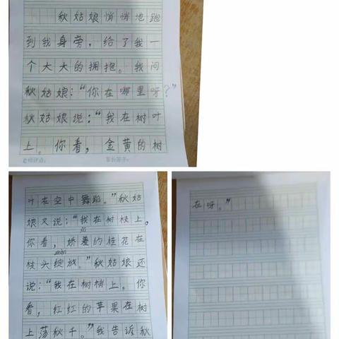 小朋友的快乐小天地