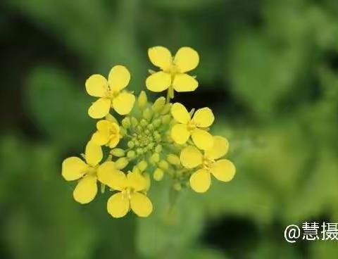 【智育】最美四月天，正是学习时。