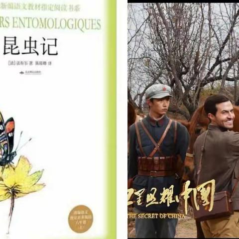 C2105五团七年级暑假读书分享会之《红星照耀中国》、《昆虫记》——阅读一“夏”