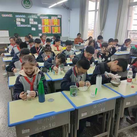做科学实验，培养科学思维——五年级一班科学实验精彩瞬间