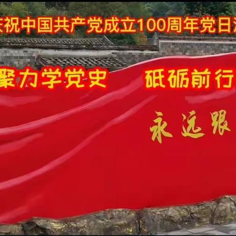 【陌上花开🌻党建篇】庆祝中国共产党成立100周年主题党日活动🇨🇳