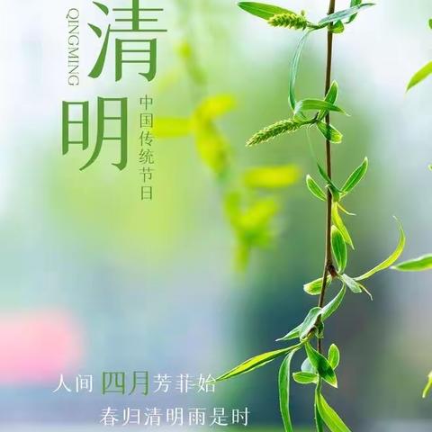 【附中学子这样过清明】忻州师范学院附属中学 初一11班牛博鸿实践活动小记﻿