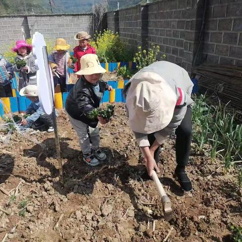 “神奇中草药，护苗保健康”--榛子乡中心幼儿园举行中医药文化进校园活动