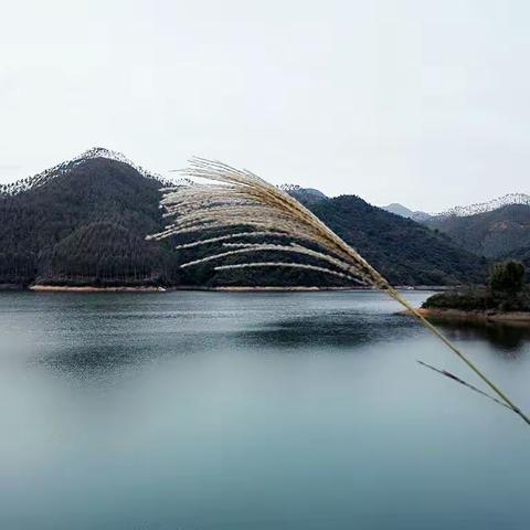 风景优美的富梅水库
