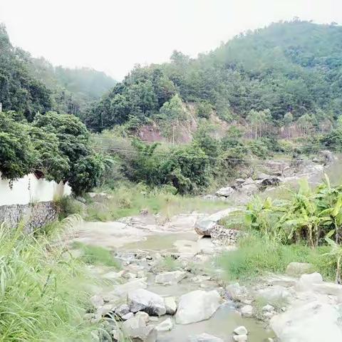 世外梅园，情系螺洞(二)