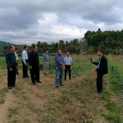 2023乡村振兴怎么干？南好村外出调研找答案
