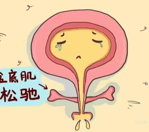 盆底肌修复不容忽视！