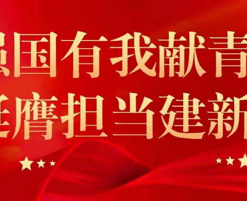 团支部“五大提升”行动实施方案