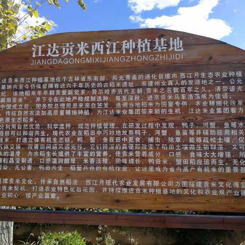2018年9月8日下午，我们一行四人去西江贡米基地