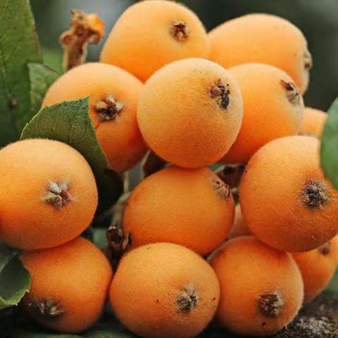 嘟嘟象8月11日启蒙3班绘画剪影