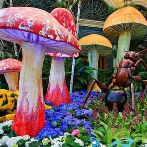 嘟嘟象8月11日启智4班绘画剪影