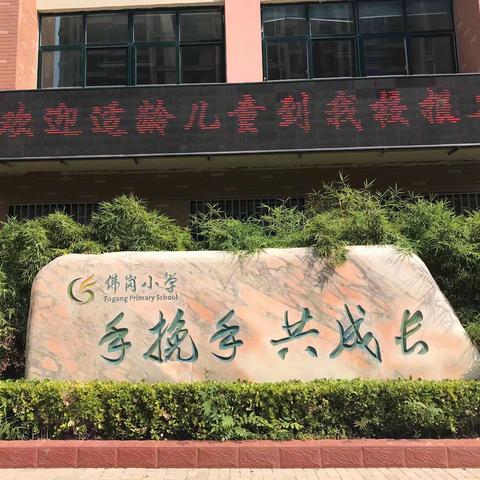 佛岗小学一年级新生报名进行时