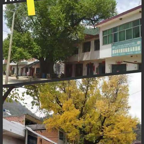 美丽的家乡