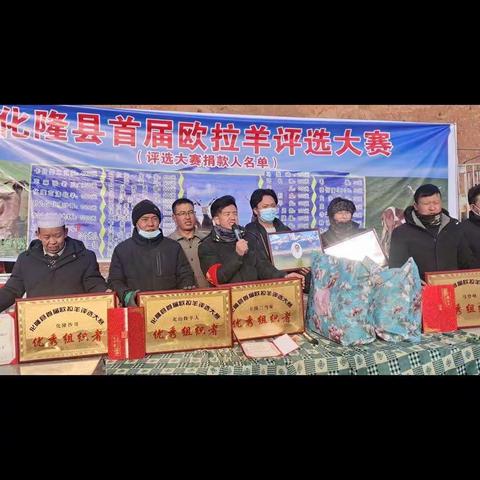 2023年元旦杯冬季欧拉羊评选大赛