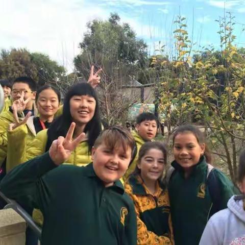 2016CISV澳中友好学校访学团day5