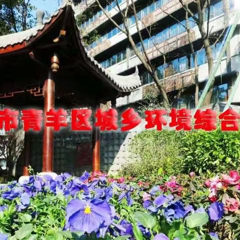 区治理办现场督办21世纪花园1期1幢周边脏乱差问题